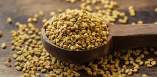 Fenugreek seeds