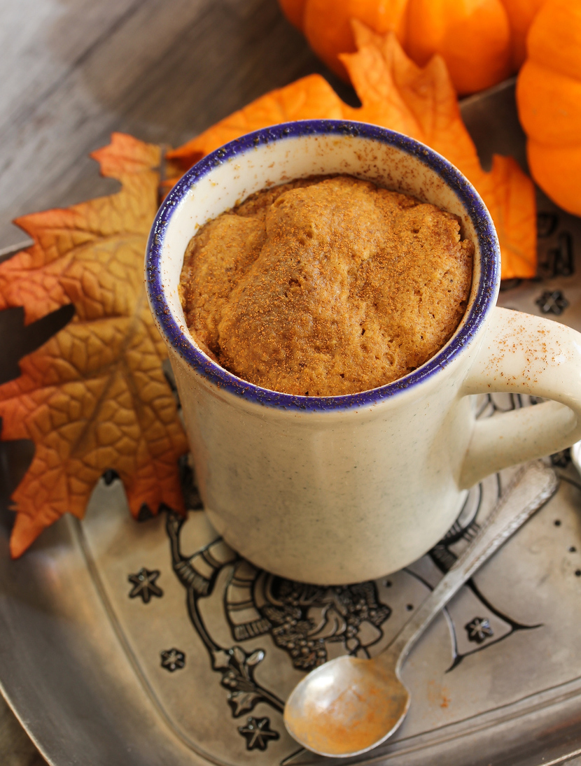 Diabetes Friendly Pumpkin Pie Mug Cake Recipe