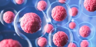 A novel stem cell treatment for type 1 diabetes