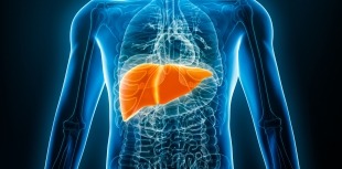 Liver X-ray