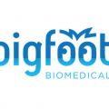 Bigfoot Biomedical